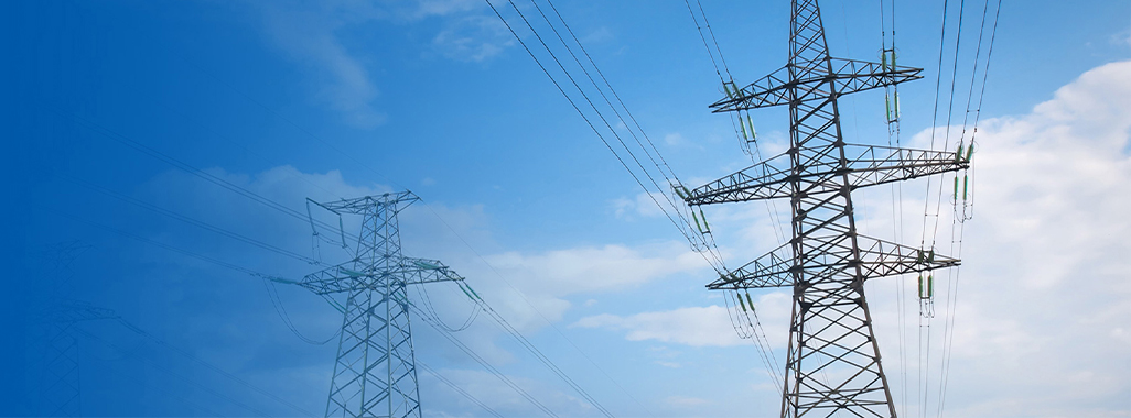 南京藍(lán)人電力科技有限公司